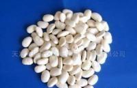 White Kidney Bean Extract(sales06@nutra-max.com) ()